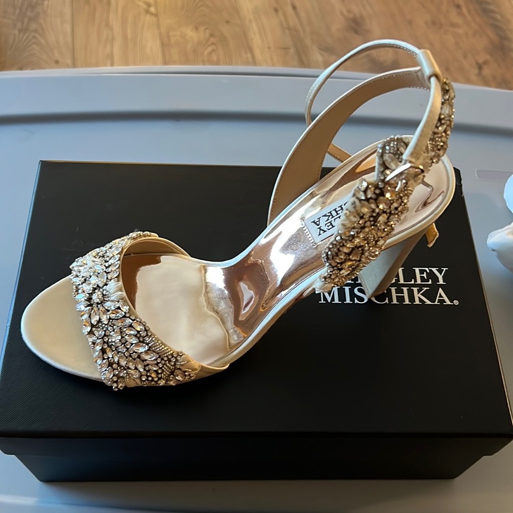 My wedding shoe I didn’t get to wear. Decided at the last minute on a new shoe